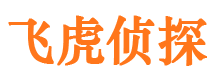 东兴市调查公司